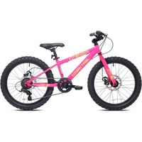 Wholesale Refurbished Ozark Trail 20