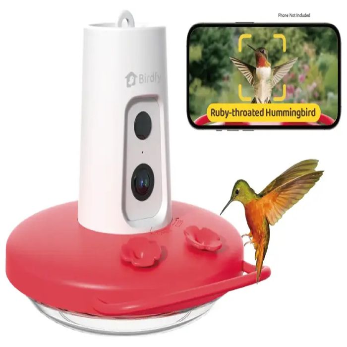 Wholesale Birdfy EPPAMBNI8902100 Humming Bird Feeder with Camera, 1080P ...